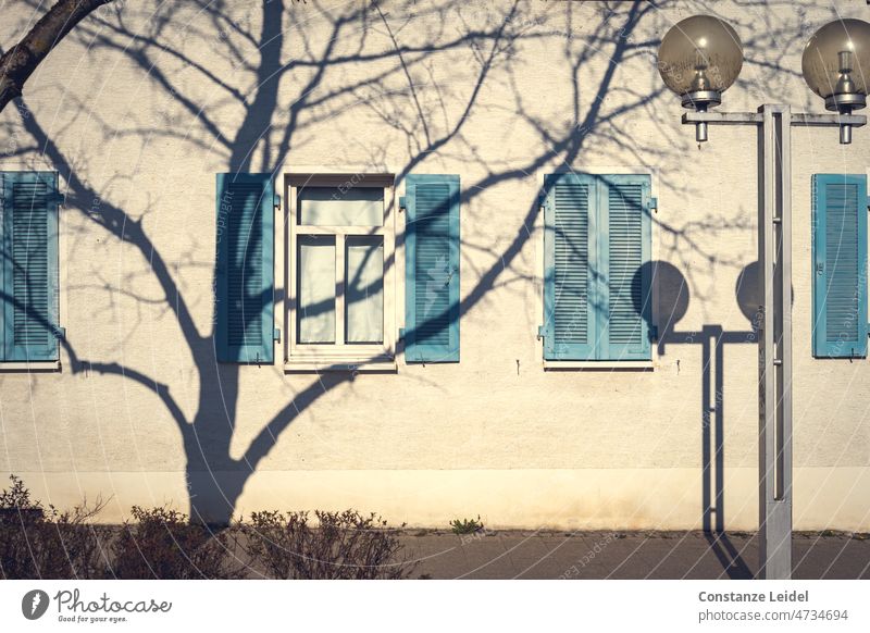 Schatten eines Baumes vor einer Hauswand Fenster Menschenleer Fassade Fensterladen Holzfensterläden Fotos Wand Mauer Altstadt Gebäude Architektur alt