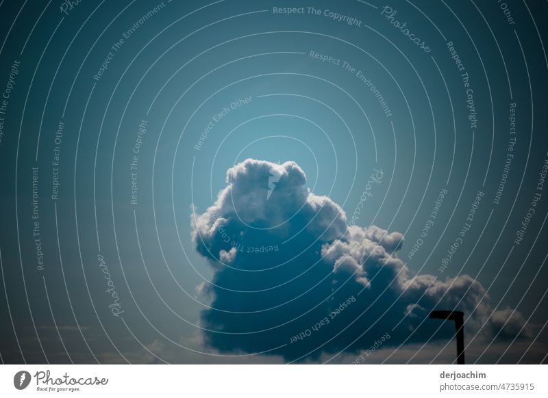 Unheimliche Wolken Gestalt am Himmel blauen Firmament. Wolken Himmel Sommer Wetter Schönes Wetter Außenaufnahme Blauer Himmel Umwelt Sonnenlicht Menschenleer