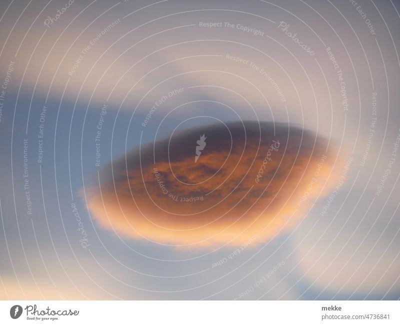 watteförmige Lenticularis Wolke  umrahmt von Perlmuttwolken altocumulus lenticularis Wolken Permuttwolke Stratosphärenwolke irisierend Sonnenuntergang