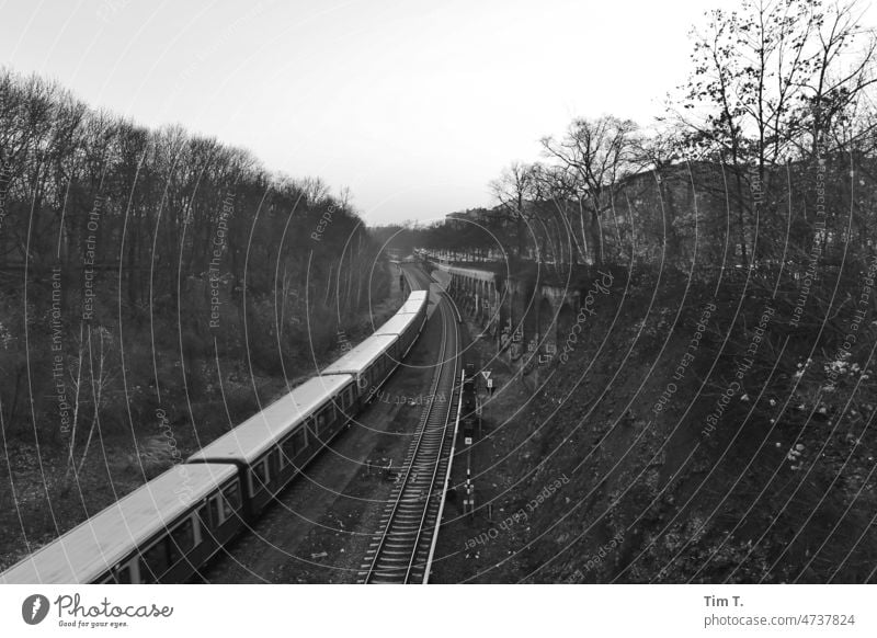 eine S-Bahn fährt durch den Humboldthain s/w Humboldhain Berlin Schwarzweißfoto Stadt Außenaufnahme Menschenleer Hauptstadt Architektur Bahnhof Stadtzentrum Tag