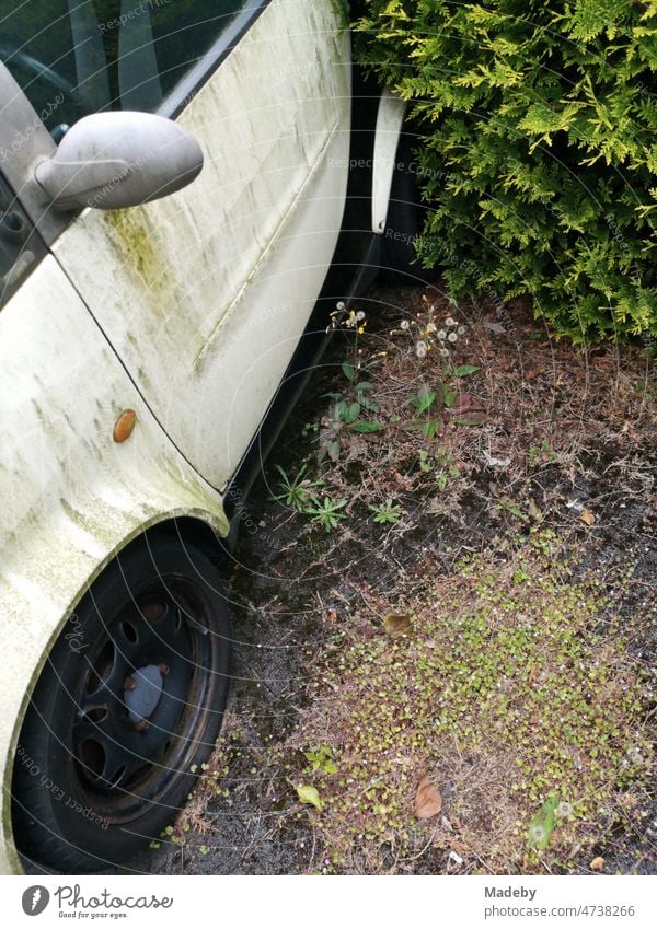 Alter verwahrloster deutscher Kleinwagen bei Regen vor einer Hecke auf dem Bürgersteig in der Altstadt von Oerlinghausen bei Bielefeld am Hermannsweg im Teutoburger Wald in Ostwestfalen-Lippe