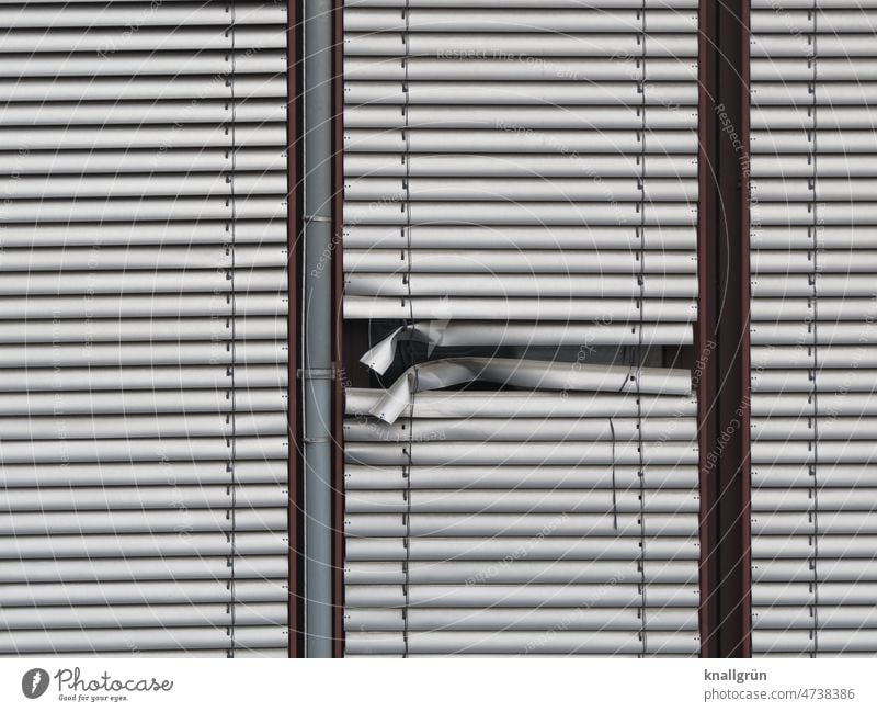 Geknickt Jalousie Sichtschutz Strukturen & Formen geschlossen Fenster Linie Muster Rollo Fensterrahmen Gebäude Rolladen Lamellenjalousie Schutz Schatten grau