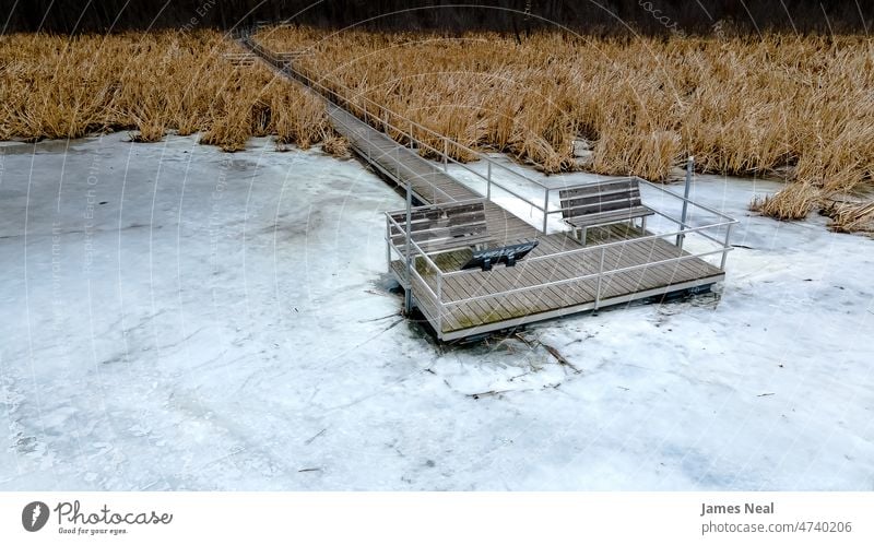 Der Blick von dieser Brücke zeigt Anzeichen des Frühlings Herbst Farbe friedlich Natur Wasser Ökologie Wiese See Hintergrund Schnee Bäume Dock Baum malerisch