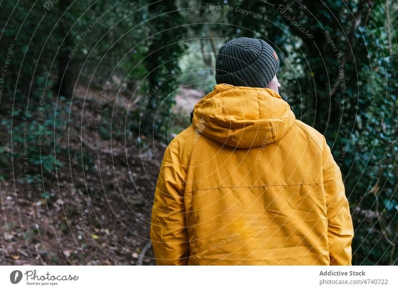 Mann mit Hut geht im Wald spazieren Wanderer Natur Trekking Baum Reise erkunden Ausflug Wanderung Wälder Aktivität Abenteuer männlich Entdecker Umwelt ernst