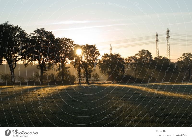 Abends Umwelt Natur Landschaft Himmel Frühling Sommer Schönes Wetter Baum Wiese grün Strommast Sonnenstrahlen Farbfoto Außenaufnahme Menschenleer