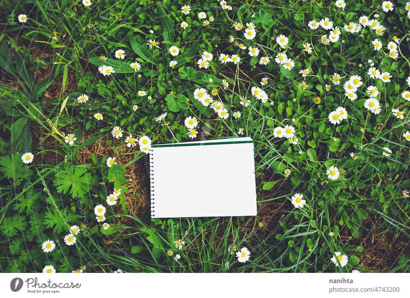 Mock up Bild in frischen organischen Textur Attrappe leer Raum Hinweis Papier grün Natur Notebook Frische Gras Frühling Design Leerraum Weißraum Negativraum