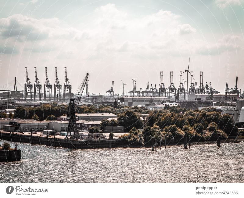 Kräne Hamburger Hafen Elbe Hafenstadt Schifffahrt Außenaufnahme Fluss Wasser Sehenswürdigkeit Wahrzeichen Binnenschifffahrt Verkehr Kran Himmel Stadt