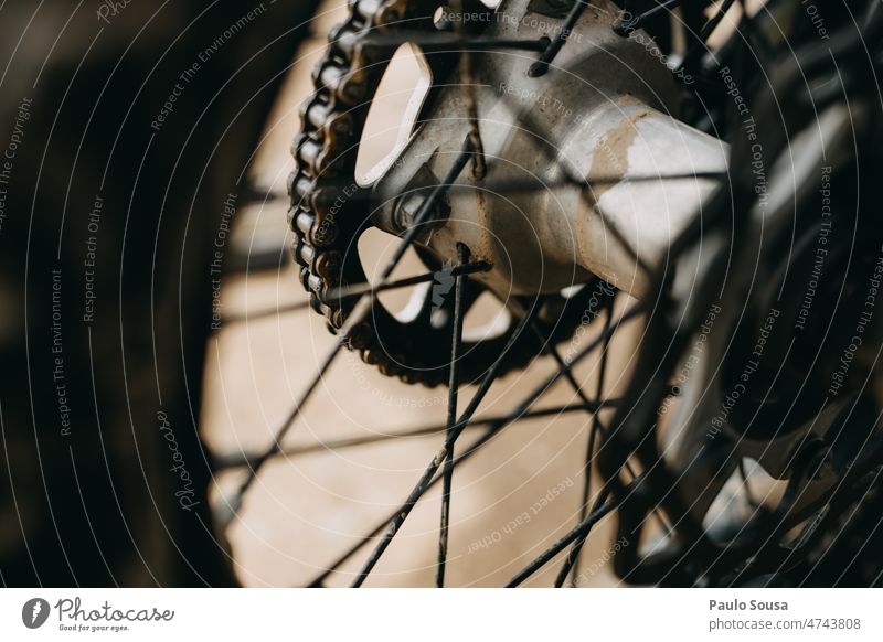 Motorrad-Rad Tretroller Straße Felge Speichen Fahrzeug Verkehrsmittel Farbfoto Außenaufnahme Reifen Tag Detailaufnahme Motocrossmotorrad Mobilität Nahaufnahme