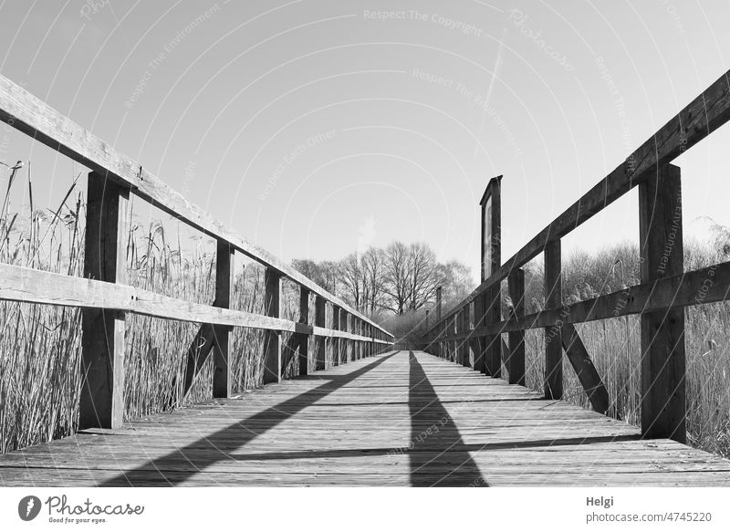 Vogelbeobachtungssteg im Schilfgürtel am Dümmer See Steg Holzsteg Beobachtungssteg Naturschutzgebiet schwarzweiß monochrom Licht Schatten Frühling Perspektive