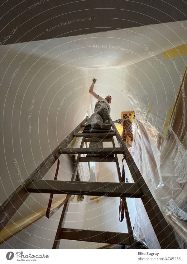 Ein Mann will nach oben- Profi auf der Leiter maler Farbfoto Handwerker Arbeit & Erwerbstätigkeit Innenaufnahme Renovieren Baustelle Anstreicher