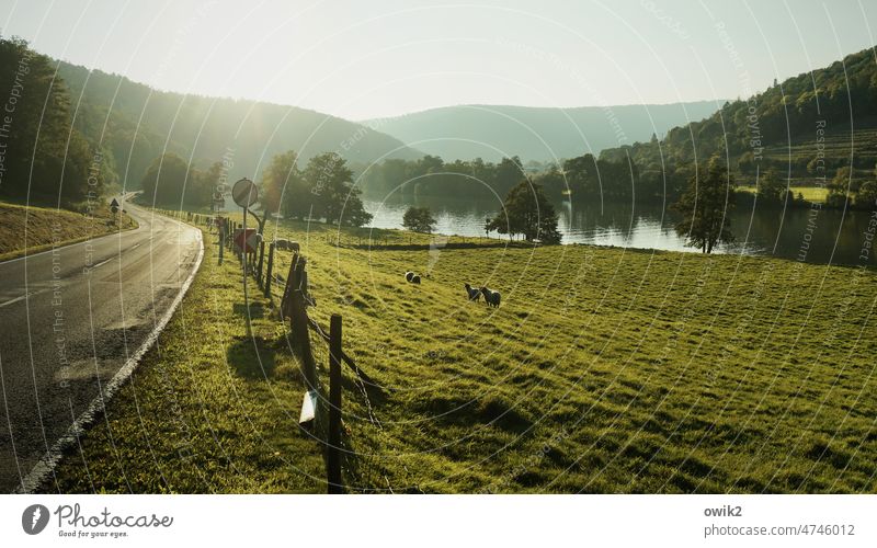 Kurz vor Miltenberg Flusslandschaft Main Wasserstraße gemächlich fließend Panorama (Aussicht) Totale Landschaft Herbst Hügel Natur Fernweh Tag schön Erholung