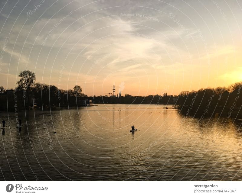 Summerlove ufer Romantik Windstille Landschaft Ferne Panorama (Aussicht) genussvoll geniessen Menschen Stille Schatten friedlich erholen Horizont Baum Kontrast