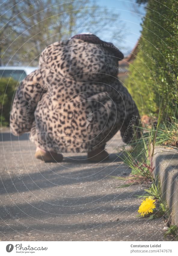 Löwenzahn am Gehwegrand mit Kleinkind im Hintergrund. Kind Kindheit draußen draußen sein spielen Mädchen Sommer Lebensfreude Fröhlichkeit draußen spielen Spaß