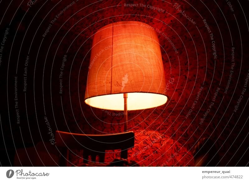 Rosenrot Design Dekoration & Verzierung Lampe Tapete Fuß Pflanze Blüte Blühend Duft Häusliches Leben Wärme Warmherzigkeit Romantik ruhig Einsamkeit