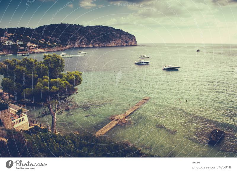 Sein wie das Meer Erholung ruhig Ferien & Urlaub & Reisen Sommer Sommerurlaub Natur Landschaft Wasser Himmel Wolken Schönes Wetter Baum Küste Bucht Insel Hafen