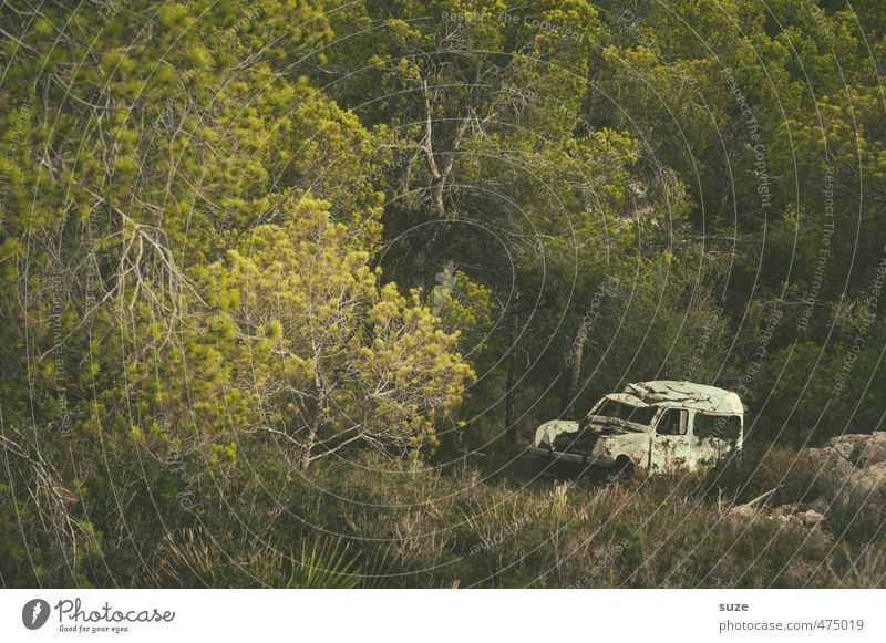 Alter Weißer Sommer Umwelt Natur Landschaft Baum Wiese Wald Verkehrsmittel Fahrzeug PKW Oldtimer alt kaputt retro trist trocken grün Einsamkeit Vergangenheit