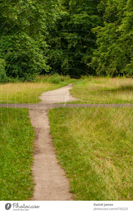 Wanderweg durch den Park Weg Bahn Spazierweg grün Baum Gras üppig (Wuchs) Sommer informell regelwidrig zufällig Natur Wald Bäume Schneise Landschaft Stadtpark