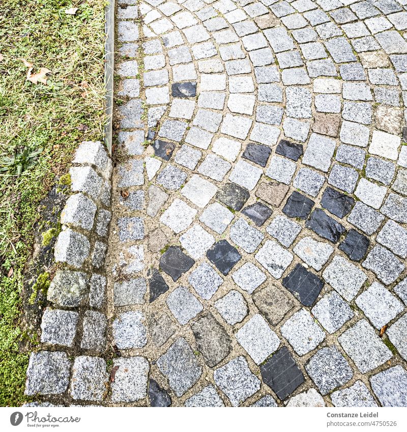 Halbkreisförmig ausgelegtes Straßenpflaster Straßenbelag Pflastersteine Wege & Pfade Kopfsteinpflaster Verkehrswege Muster Strukturen & Formen Bürgersteig grau