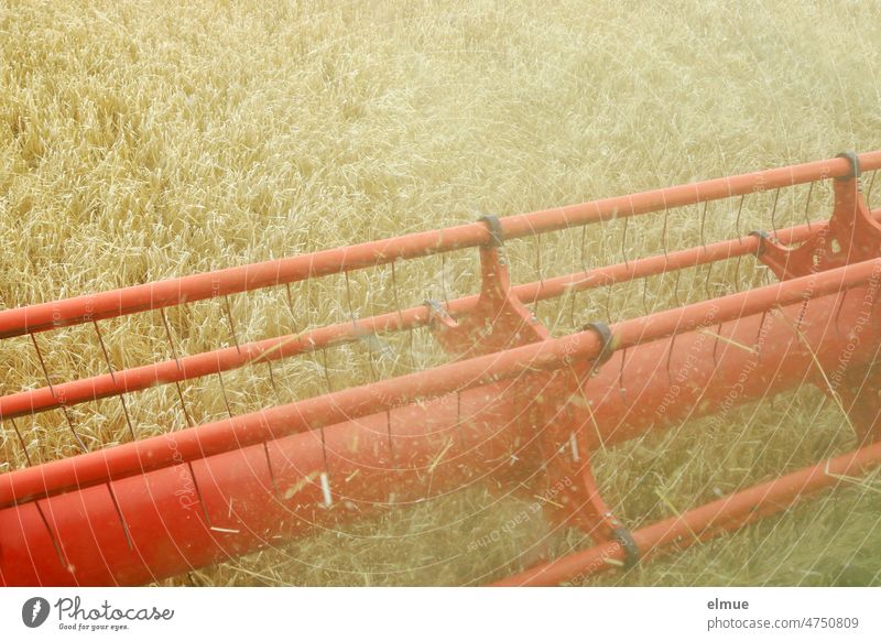 rotierende Haspel des Schneidwerkes eines Mähdreschers bei der Mahd von Gerste / Getreidepreise mähen Feld Ukrainekrise Getreideimport Ackerbau Landwirtschaft