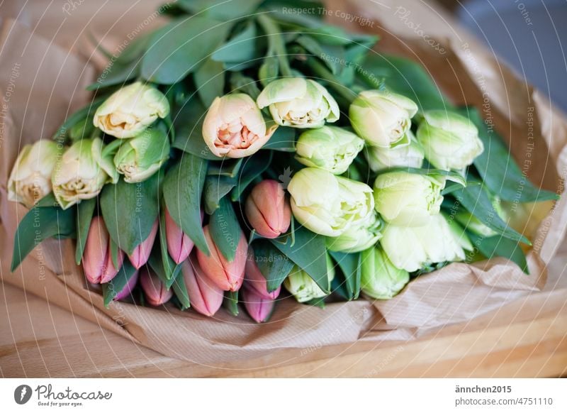 Verschiedene bunte und pastellfarbene Tulpen liegen auf braunem Packpapier Tulpenblüte Blüte Pastellton Blume Frühling Blühend Blumenstrauß Pflanze