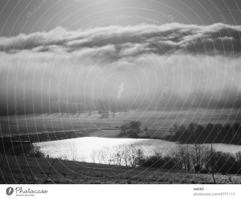 Speicherbecken Landschaft Himmel Wolken Horizont Schönes Wetter Natur Umwelt Pflanze Gras Sträucher Wiese Baum Seeufer ruhig hell leuchten Idylle Ewigkeit Ferne