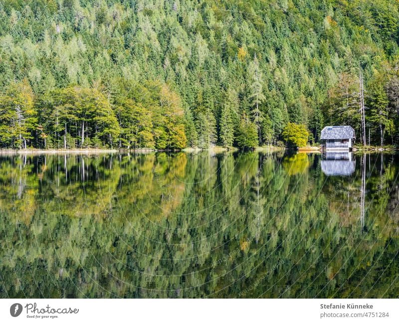 Das perfekte Spiegelbild See Spiegelung Österreich Menschenleer Wasser Klarheit Salzkammergut Langbathsee Idylle Freude Freizeit & Hobby Freiheit genießen