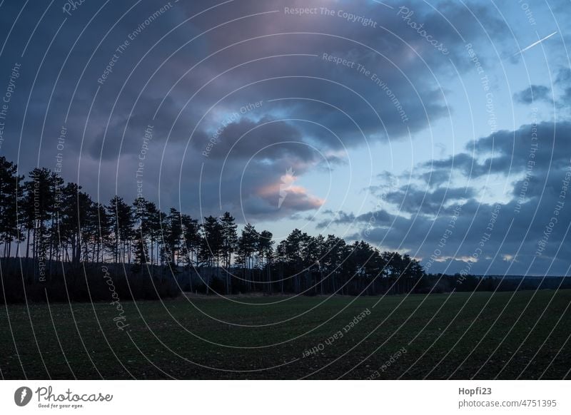 Landschaft bei Sonnenuntergang Natur Sonnenlicht Wege & Pfade aus Außenaufnahme Menschenleer Farbfoto Baum Wald Straße Licht Windstille Schatten Jahreszeiten