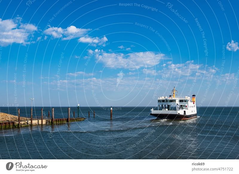 Fährschiff im Hafen Nordstrand an der Nordseeküste Fähre Schiff Schleswig-Holstein Dalben Küste Reise Urlaub Fähranleger Reiseziel Landschaft Natur Deutschland