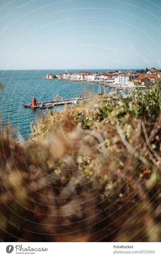 #A0# Piran am Meer piran Slowenien Altstadt mediterran Dächer Gebäude Stadt Küste Hafen Hafenstadt