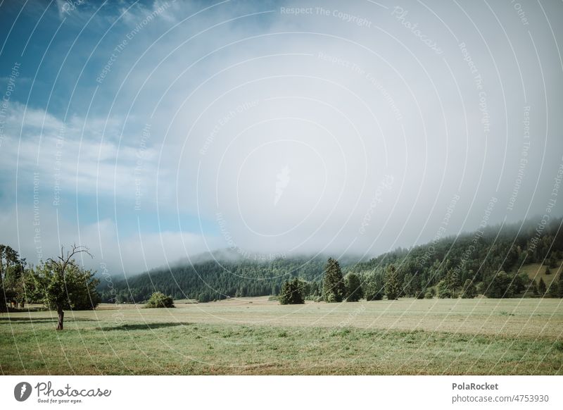 #A0# Landschaft Slowenien Landschaftsformen Landschaften landschaftsbau Berge u. Gebirge Wald wälder Wolken Leben