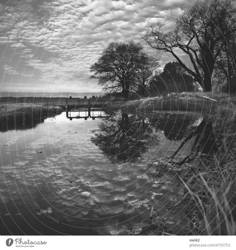 Wasserlauf Himmel Landschaft Pflanze Natur Umwelt Horizont Wolken Schönes Wetter Baum Zweige u. Äste Flussufer Kanal Idylle Schwarzweißfoto Außenaufnahme