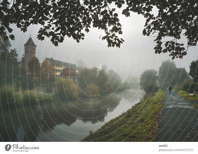 Morgens an der Tauber Wertheim Baden-Württemberg Kleinstadt historisch Uferweg Wasser friedlich Blätterdach mystisch draußen verwunschen Weite Textfreiraum oben