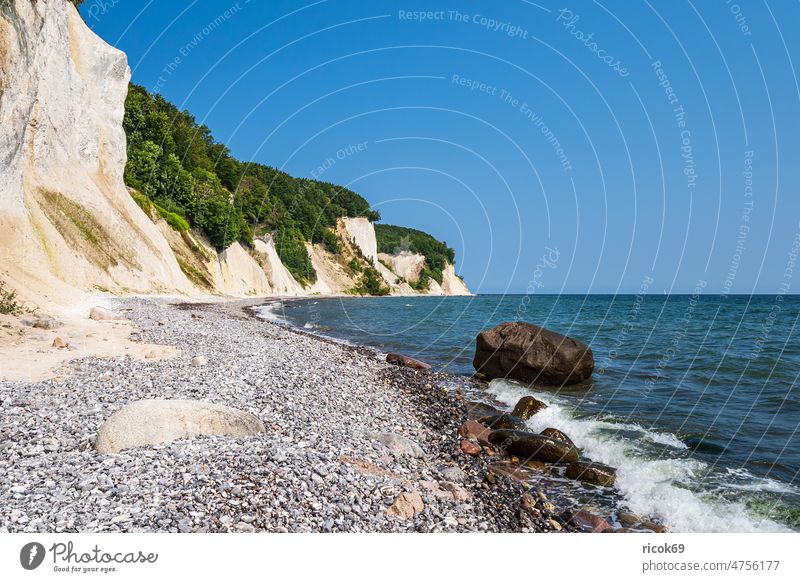 Kreidefelsen an der Küste der Ostsee auf der Insel Rügen Ostseeküste Meer Baum Steilküste Findling Stein Felsen Himmel Wolken blau Mecklenburg-Vorpommern