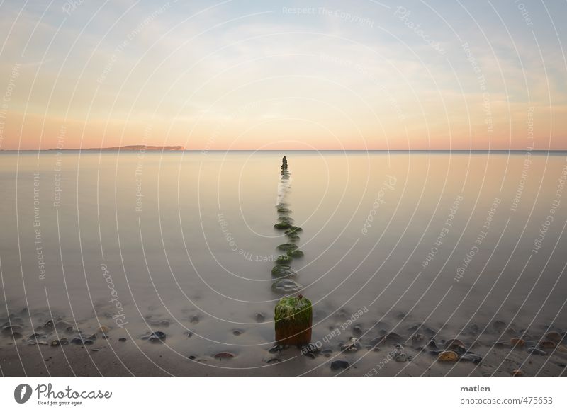 Milchstrasse Landschaft Sand Wasser Himmel Wolkenloser Himmel Horizont Sonnenaufgang Sonnenuntergang Herbst Wetter Schönes Wetter Küste Strand Ostsee braun grau