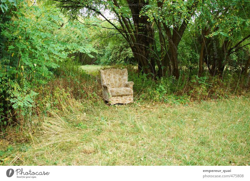 Pause. Schokoriegel Picknick Sommer Kunstwerk Natur Baum Gras Grünpflanze Wiese außergewöhnlich frech grün ruhig Hoffnung Traurigkeit Heimweh Einsamkeit