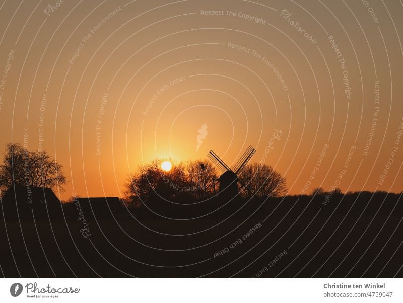 Eine Mühle, Bäume und ein Gehöft im orangefarbenen Gegenlicht der tief stehenden Sonne Windmühle Sonnenuntergang Haus ländlich Bauernhof Natur Landschaft Himmel