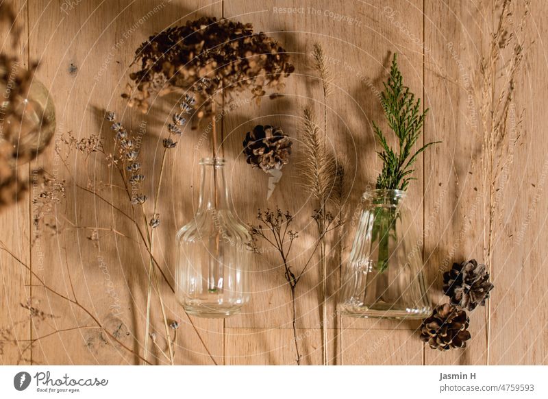 Flatlay flatlay Dekoration & Verzierung Innenaufnahme Vogelperspektive Menschenleer Farbfoto Hintergrund neutral Trockenblumen Zapfen Gräser Pflanze