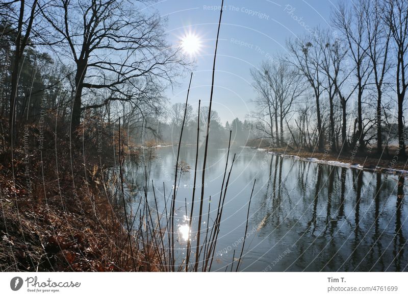 die Spree am frühen Morgen in der Lausitz morgens Sonne Fluss Wasser Landschaft Farbfoto Menschenleer Außenaufnahme Winter Sonnenlicht Baum Natur Sonnenaufgang