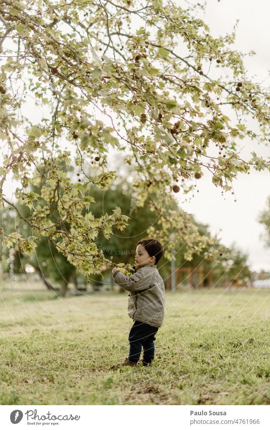 Kind spielt mit Baum Kindheit Junge authentisch eine 1-3 Jahre Mensch Kleinkind Tag Leben Freude Lifestyle Farbfoto Natur Umwelt Gefühle Kaukasier