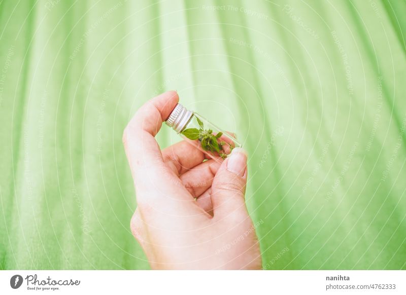 Hand hält eine kleine Flasche mit einer kleinen Pflanze darin nachhaltig Umwelt conept bewahren konservieren grün Probe Ökologie botanisch Botanik behüten