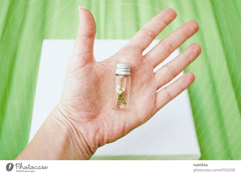 Hand hält eine kleine Flasche mit einer kleinen Pflanze darin nachhaltig Umwelt conept bewahren konservieren grün Probe Ökologie botanisch Botanik behüten