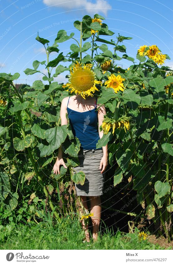 Im Feld Erneuerbare Energie Mensch Junge Frau Jugendliche Kopf 1 18-30 Jahre Erwachsene Sommer Herbst Blume Blüte Blühend Duft lustig Gefühle Stimmung Freude