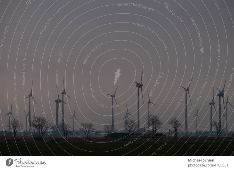 Bäume und Windräder in der Morgendämmerung windräder Strom Umwelt Klima Energiewirtschaft Erneuerbare Energie Technik & Technologie Elektrizität Umweltschutz