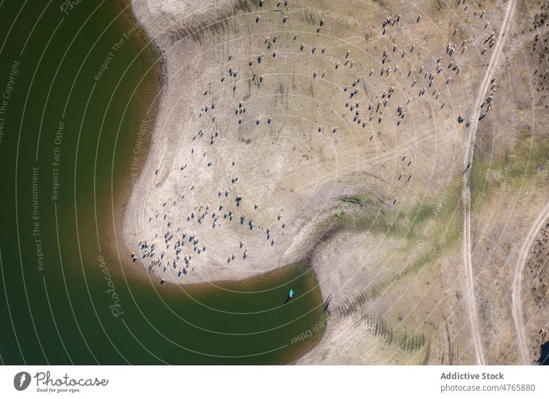 Luftaufnahme des Flussufers bei Tageslicht Landschaft Lagune Ufer Küste Uferlinie Insel Wasser Natur Spanien Küstenlinie aqua trocknen Sand Boot See Tourismus