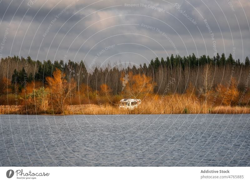 Wald gegen Fluss mit Auto an Küste an bewölktem Tag Landschaft See PKW Waldgebiet Baum Ufer Himmel wolkig Gras bedeckt Teich Spanien Wälder Seeufer Natur