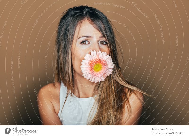 Frau mit Gerbera-Blüte im Mund im Atelier Blume Porträt Blütezeit sanft frisch feminin Model Angebot Vorschein charmant lange Haare Studioaufnahme Stil