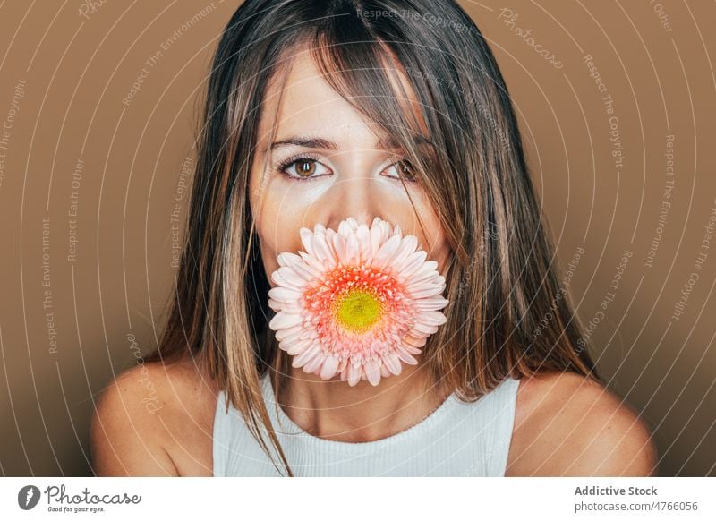 Frau mit Gerbera-Blüte im Mund im Atelier Blume Porträt Blütezeit sanft frisch feminin Model Angebot Vorschein charmant lange Haare Studioaufnahme Stil