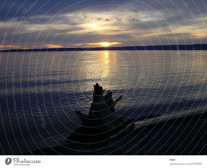 Sunset Lake Yellowstone Nationalpark See Sonnenuntergang Ferien & Urlaub & Reisen ruhig USA Wurzel Abend friedlich Landschaft Wasser