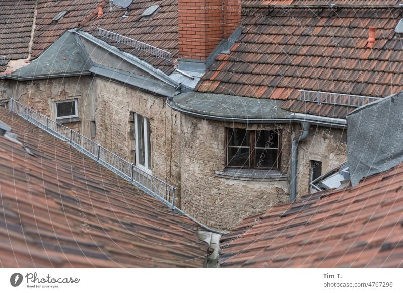 Blick von oben / Hinterhof Berlin Mitte Berlin-Mitte Innenhof unsaniert Haus Fenster Fassade Menschenleer Stadt Altbau Stadtzentrum Hof Altstadt Hauptstadt