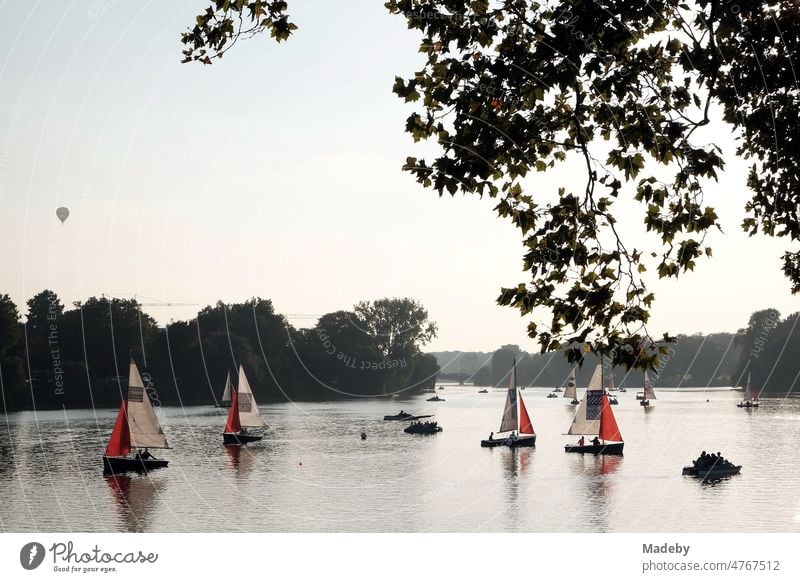 Bunte Segelboote und Jollen sowie ein Heißluftballon im Licht der Abendsonne auf dem Aasee in Münster in Westfalen im Münsterland Wassersport Zuhause Heimat